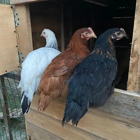 Villa Eco 12 Pers La Charmante Des Avec Vallons-de-l'Erdre